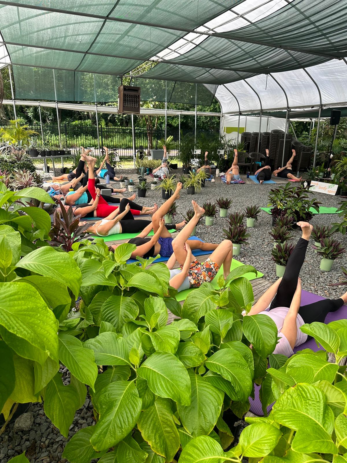 Yoga in the Garden