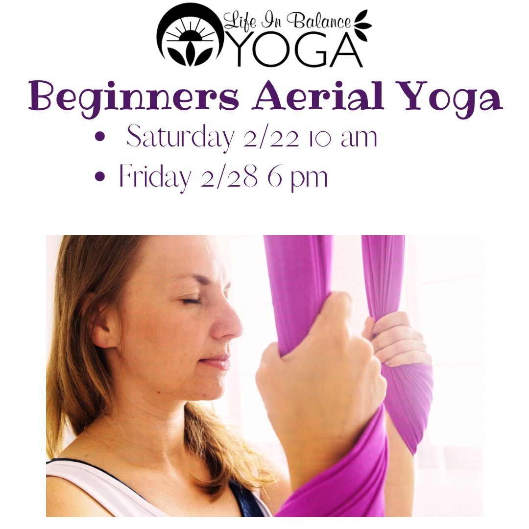 Beginners Aerial Yoga 