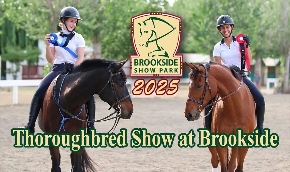 Thoroughbred Show at Brookside Show Park