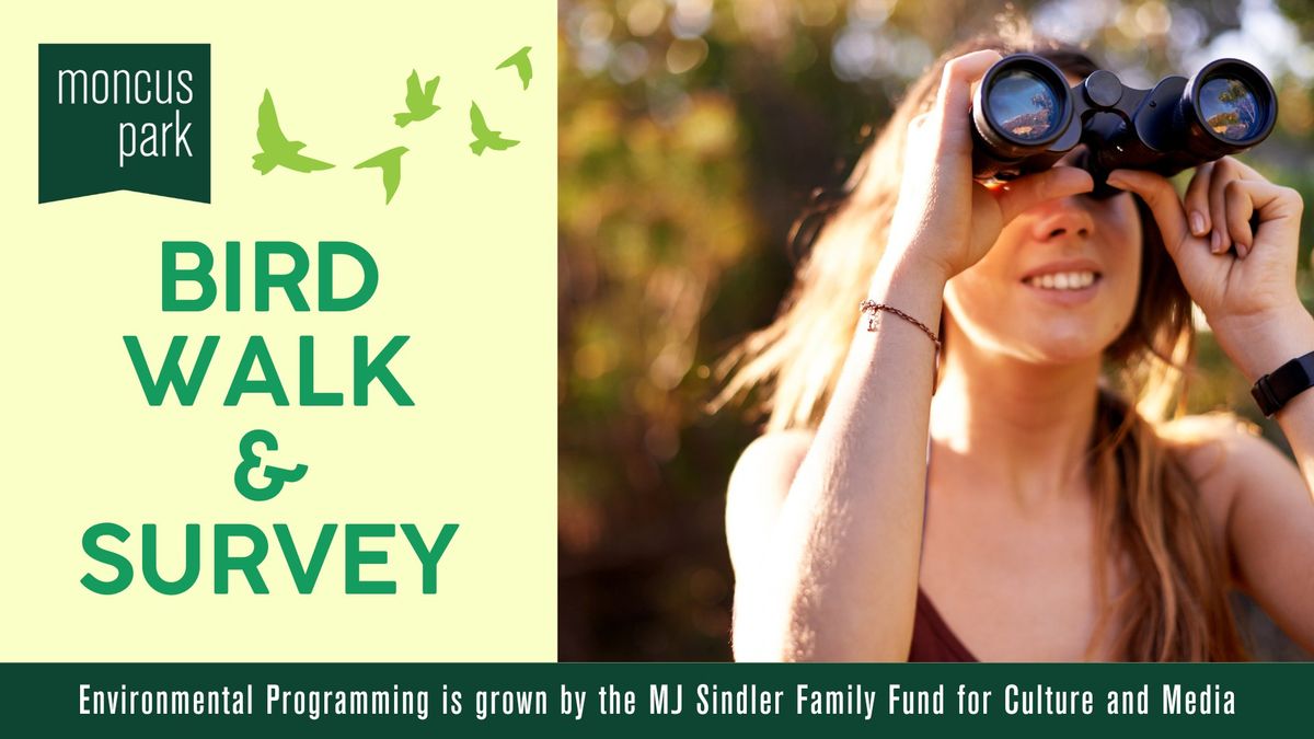 Bird Walk & Survey