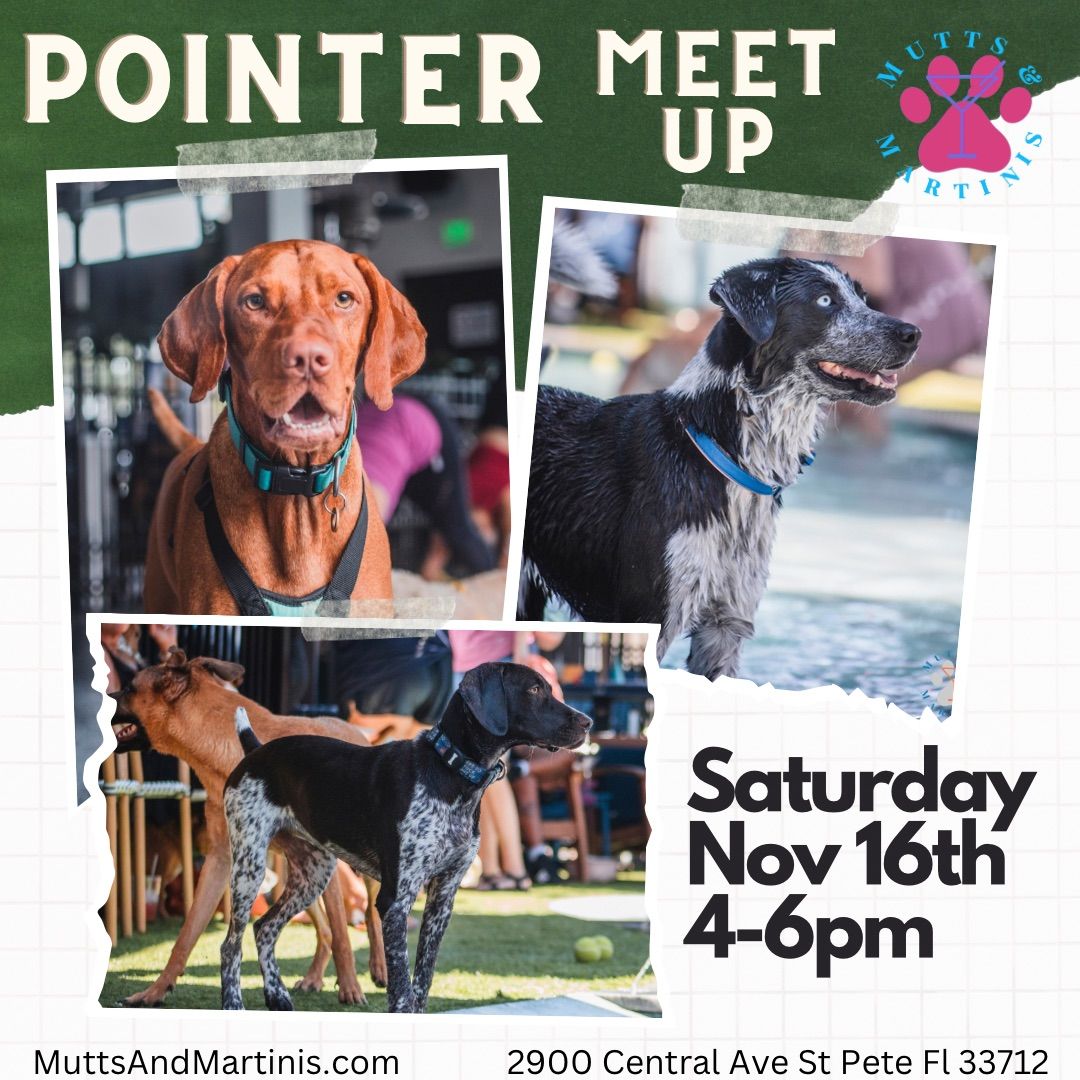 Pointer Meet Up at Mutts & Martinis