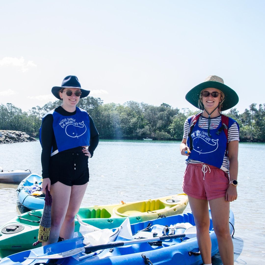 SOLD OUT. Kayak Clean Up and Mangrove Tour