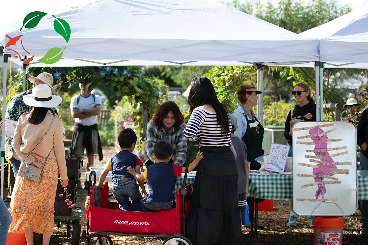 San Jose- Composting Basics Workshop