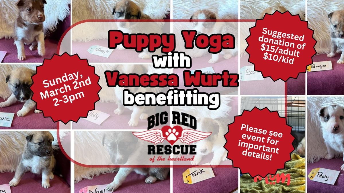 Puppy Yoga!! With Vanessa Wurtz benefitting Big Red Rescue!