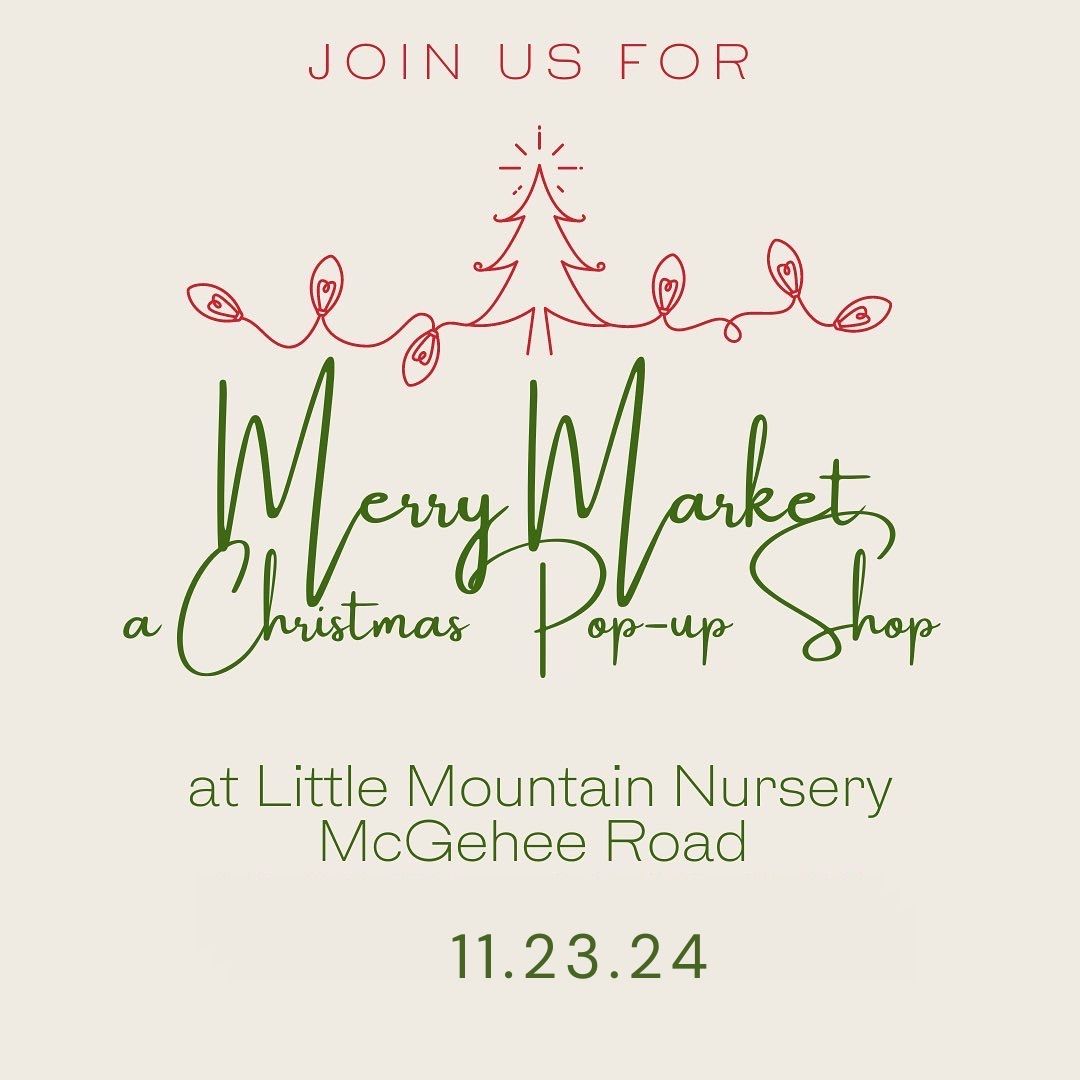 Merry Market at LMN