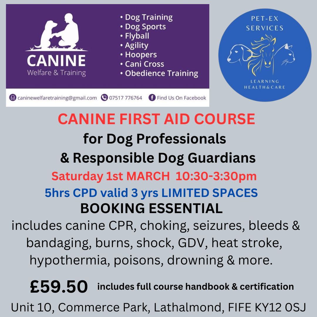 Canine First Aid Course hosted by Canine Welfare & Training FIFE