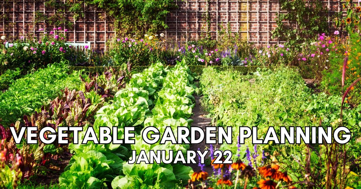 Vegetable Garden Planning