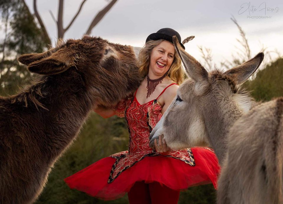 Yarra Ranges Donkey Festival