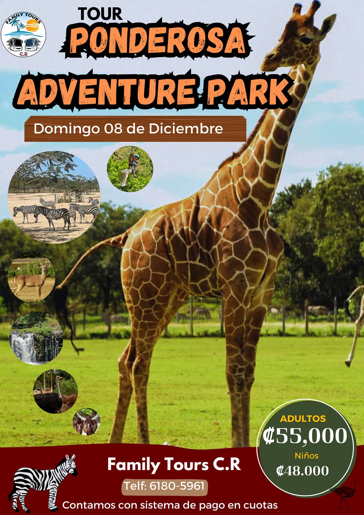 Tour PONDEROSA ADVENTURE PARK 