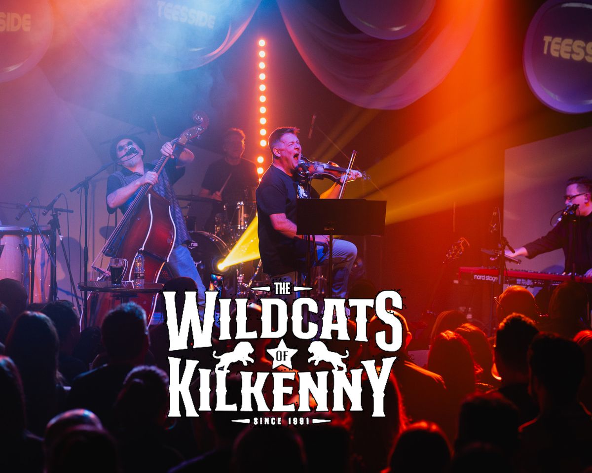 The Wildcats of Kilkenny: Sleigh! | Stockton-on-Tees