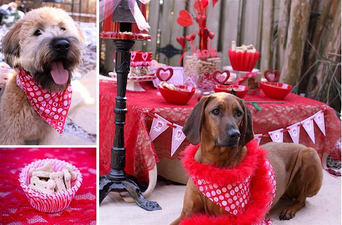Puppy Love Valentine\u2019s Day