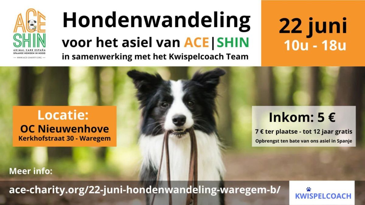 Hondenevenement ACE\/SHIN & team Kwispelcoach