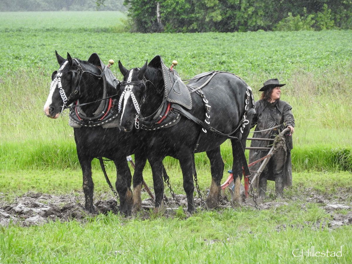 Farm Fest & Plowing Competition