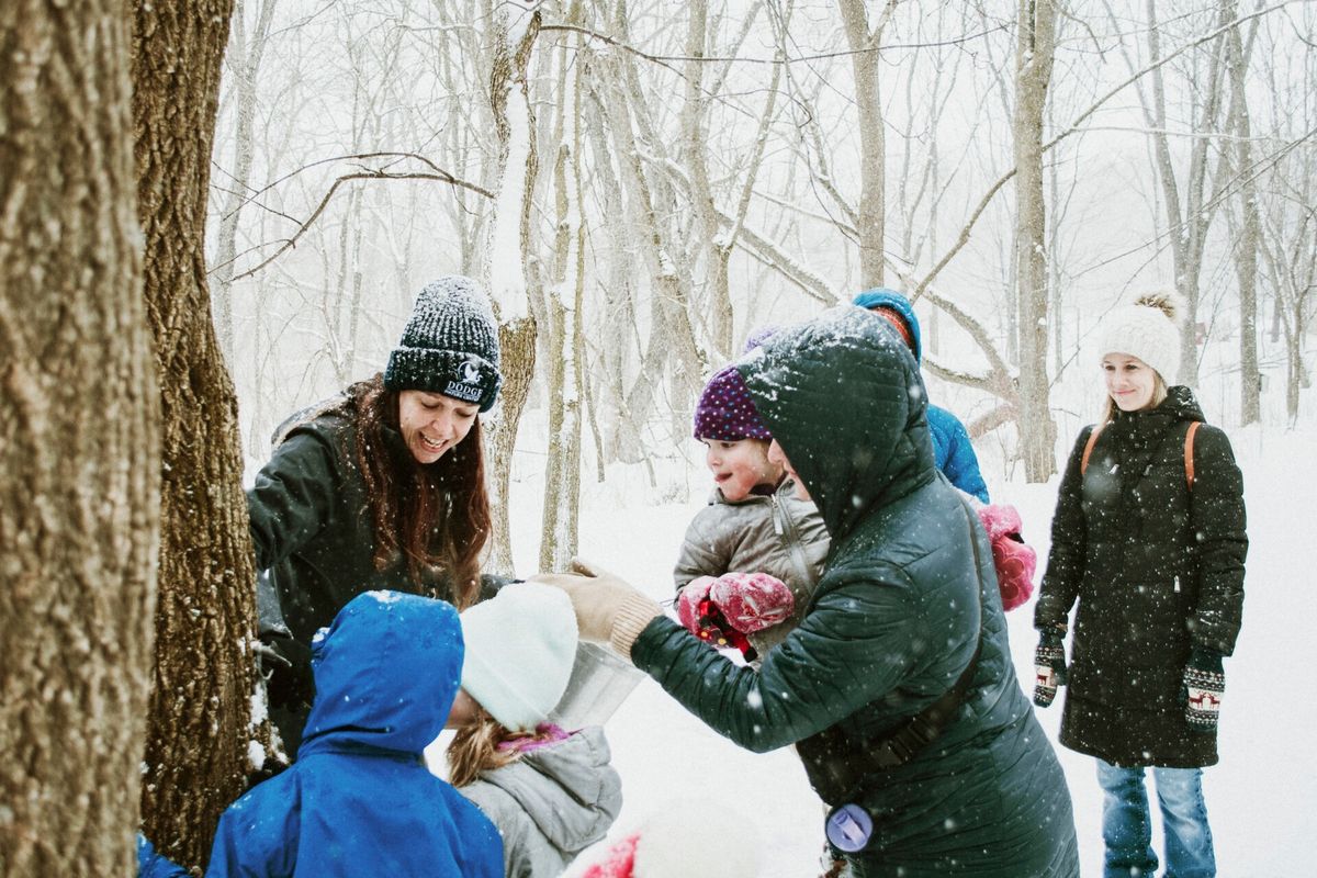 Maple Syruping