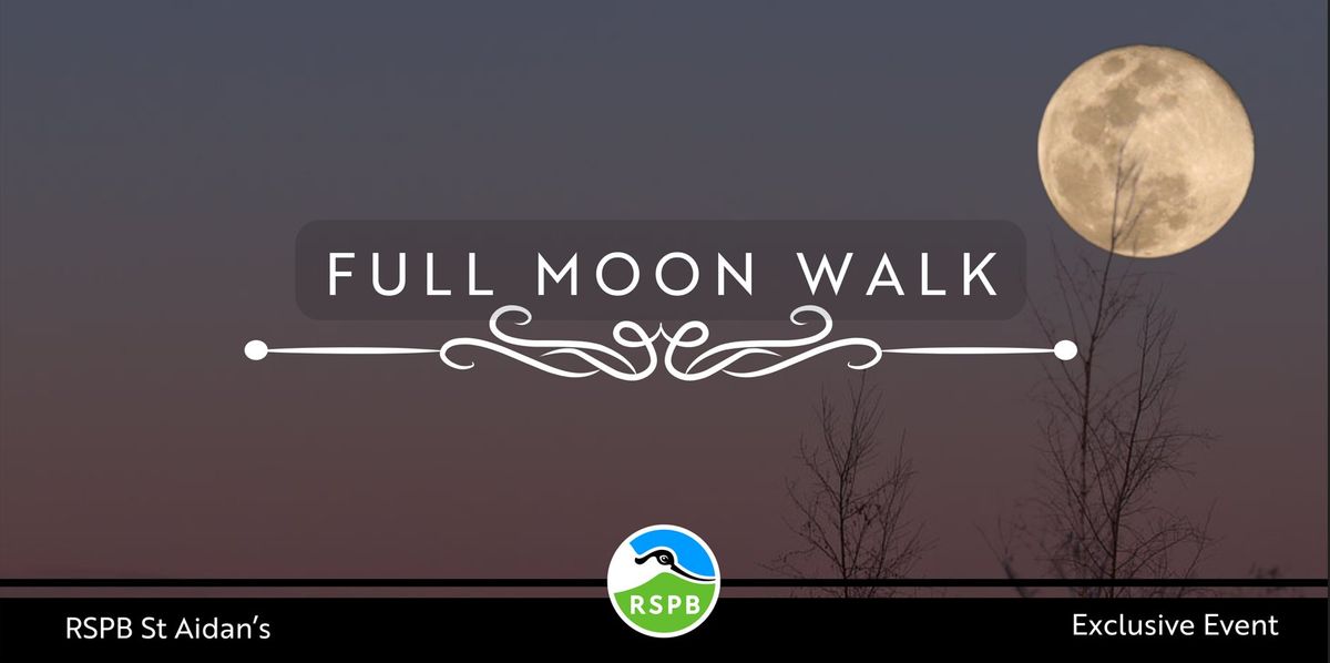 Full Moon Walk- RSPB St Aidan's