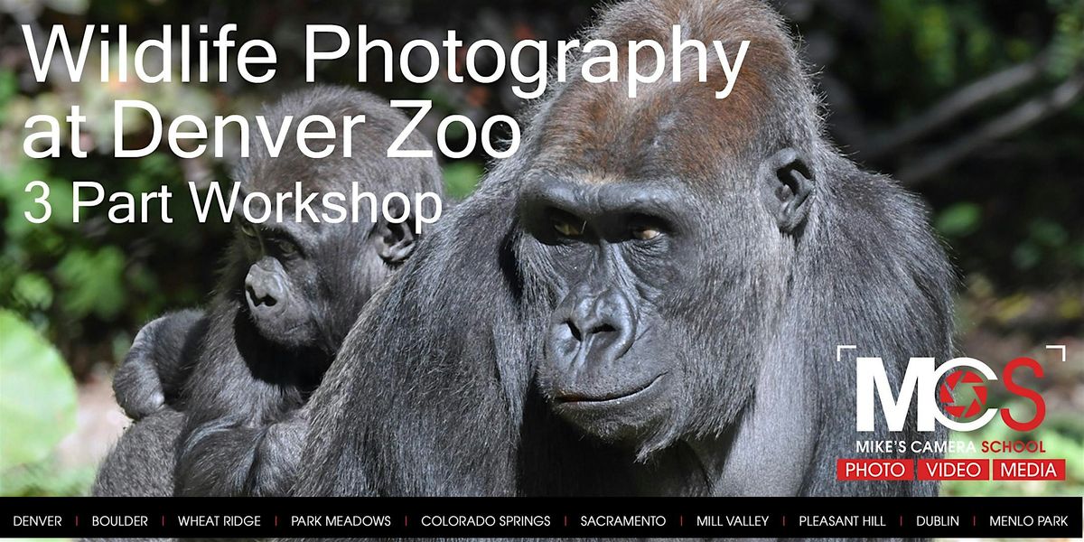 3 Part Wildlife Photography at  Denver Zoo - with Virtual Seminar \/ Gallery