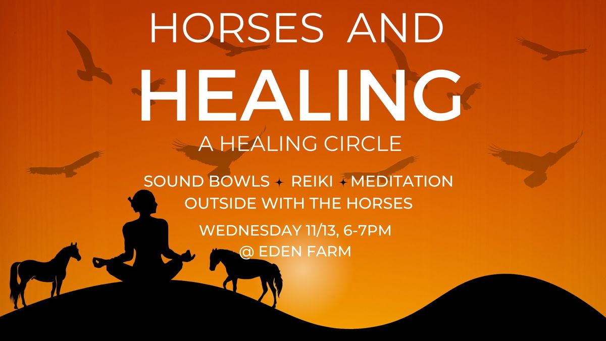 Horses and Healing