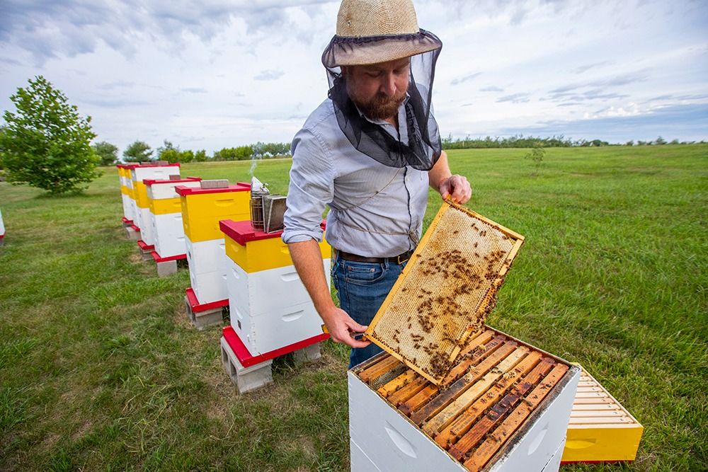 Open Teaching Apiary: Ames, IA