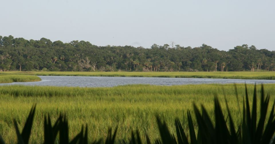 The Marshes of Glynn