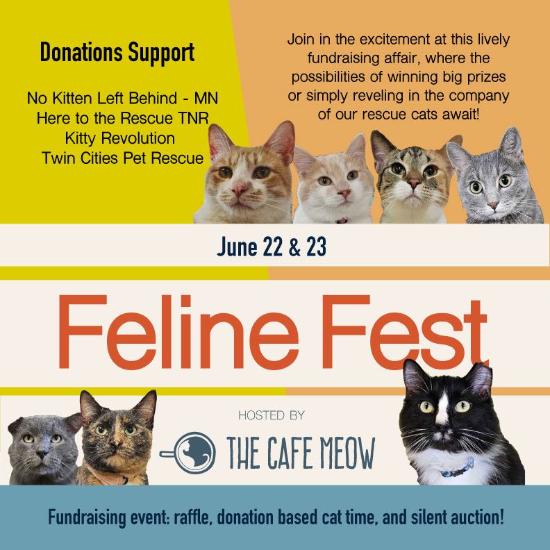 Feline Fest 2024