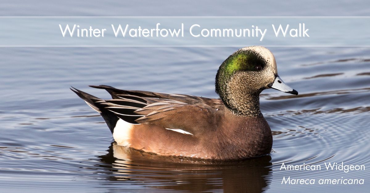 **SOLD OUT** Winter Waterfowl Community Walk