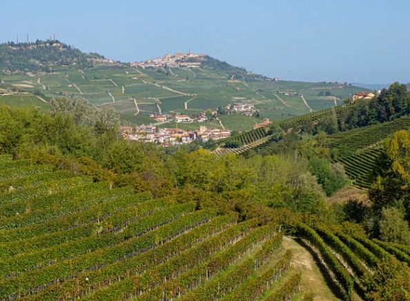 Introduction to Italian Wine | Week 3 - Piedmont POSTPONED