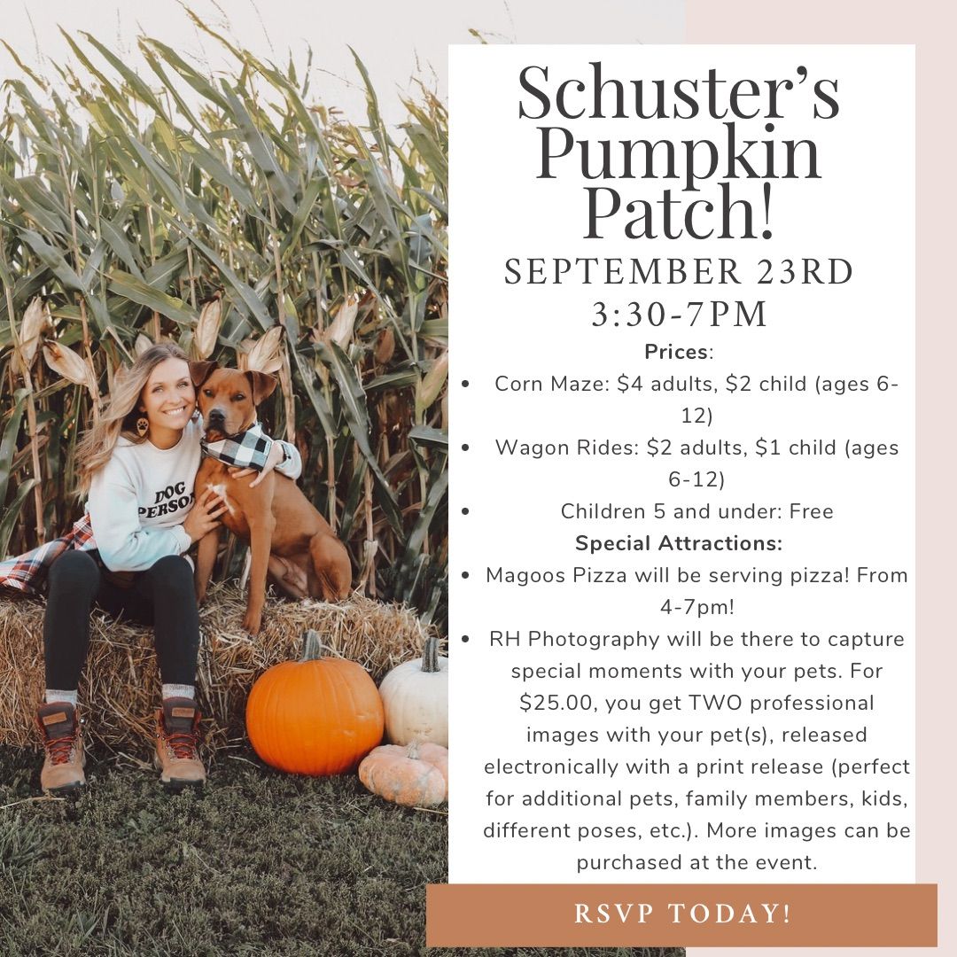 Schuster\u2019s Pumpkin Patch ? 