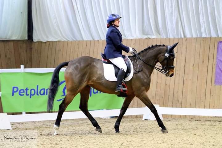 Flat work \/ dressage clinics - Tewkesbury - Kat Jones Equestrian