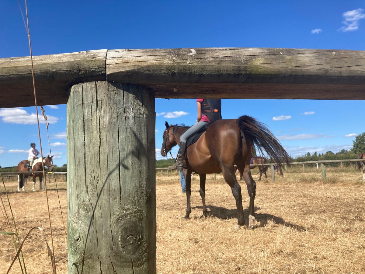 Stage 2 - Control & Confidence in the Saddle