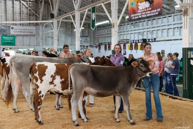 2025 Skagit County Fair 