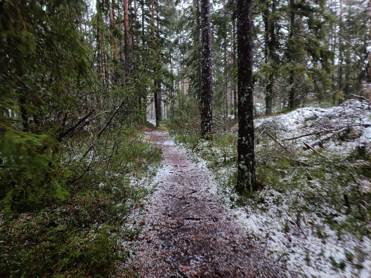 Tapaninp\u00e4iv\u00e4n rauhallinen polkupitkis Halistenkoskelta