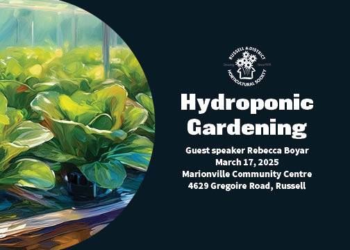 Guest speaker on hydroponic gardening and a mini flower show