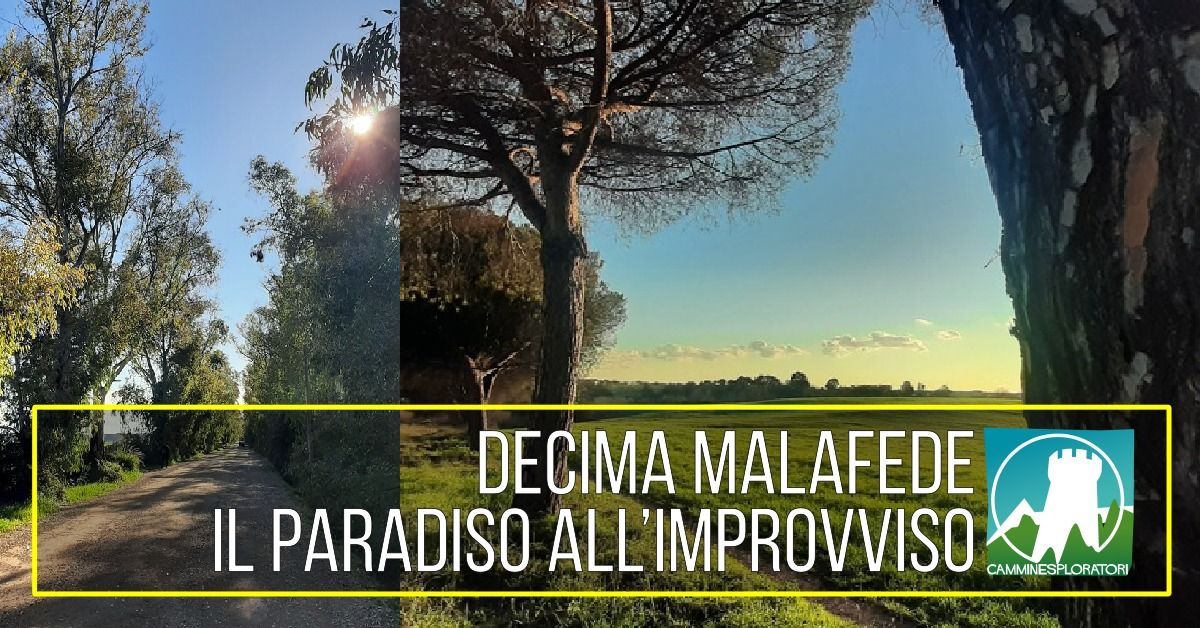 Decima Malafede: il Paradiso all\u2019Improvviso 