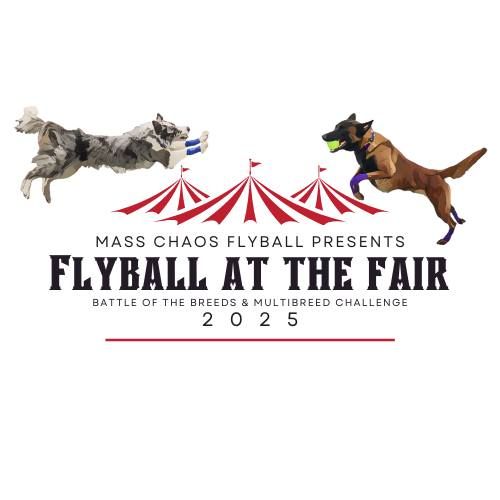 Flyball at the Fair 2025