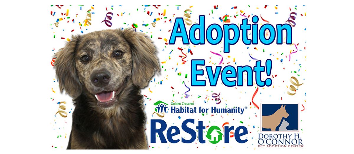 Adoption Event at the ReStore!