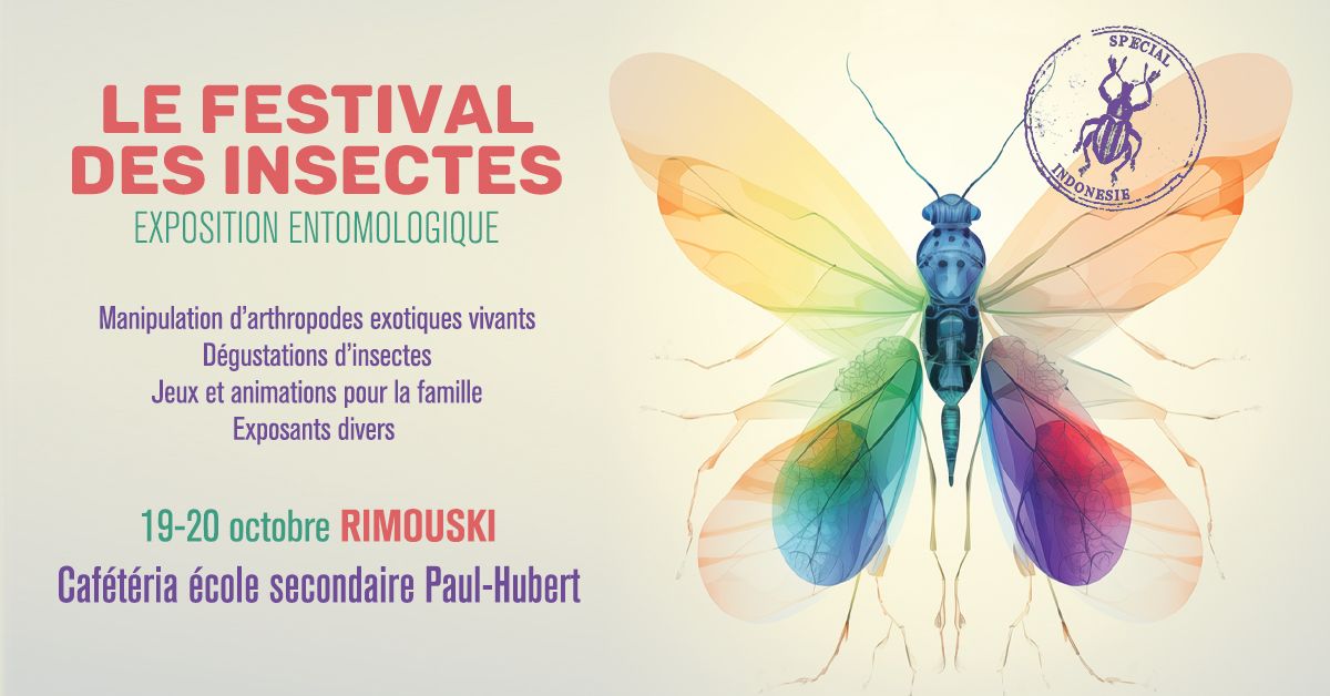 Festival des Insectes - Rimouski