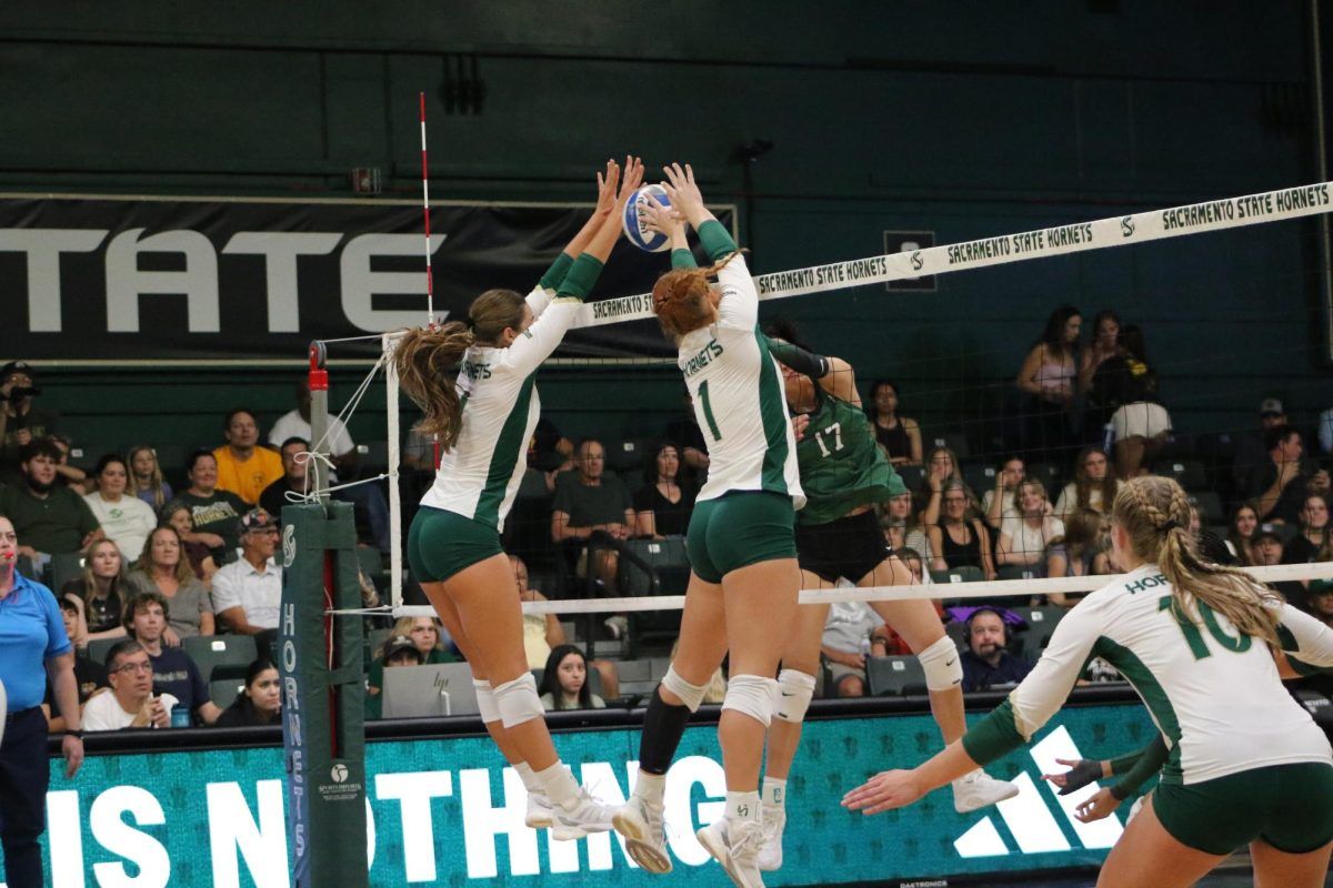 Portland State Vikings Women's Volleyball vs. Sacramento State Hornets