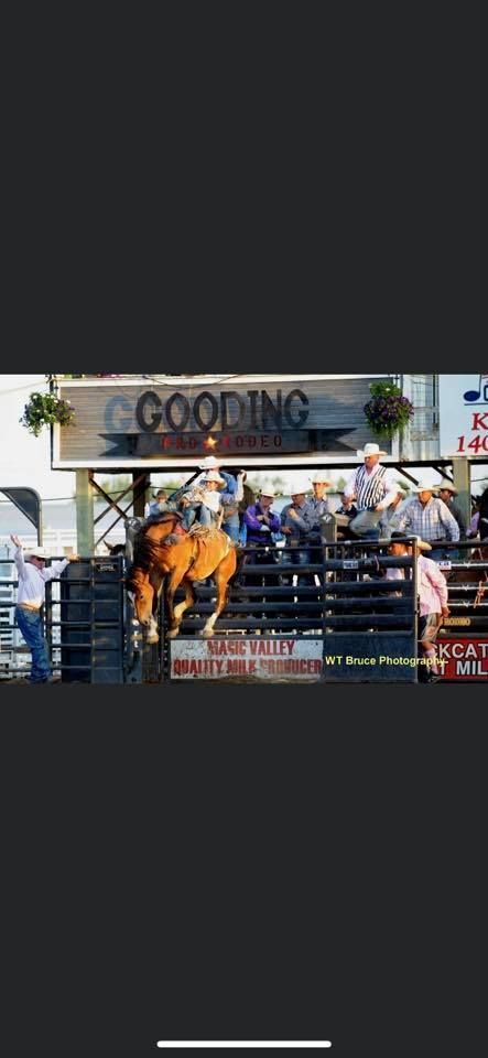 Gooding Pro Rodeo
