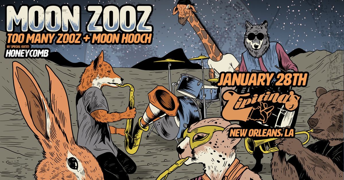 Moon Zooz: Too Many Zooz + Moon Hooch