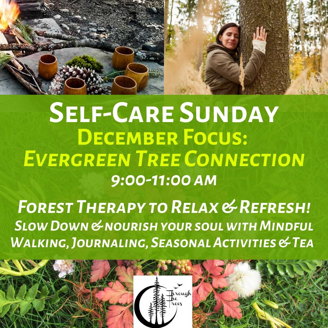 Self-Care Sunday: Forest Therapy to Relax & Refresh (EVERGREEN TREE CONNECTION)