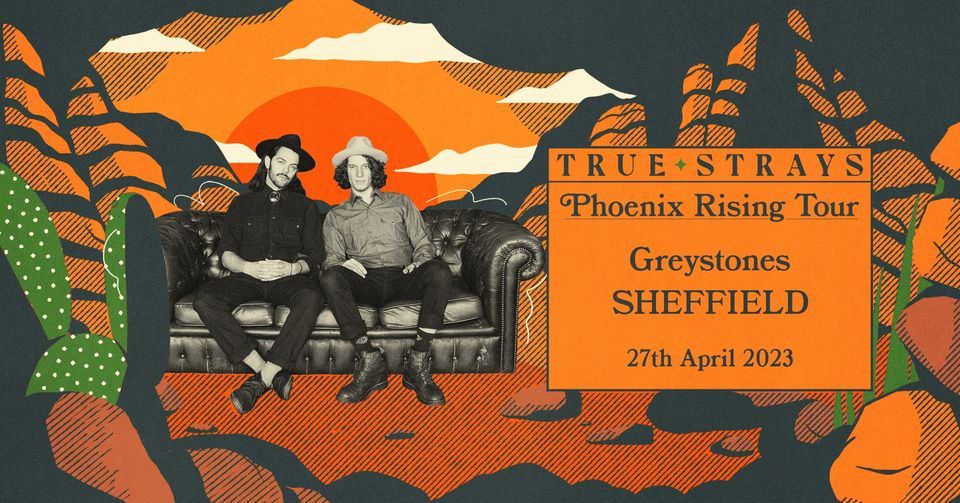 True Strays (Full Band) at Greystones, Sheffield