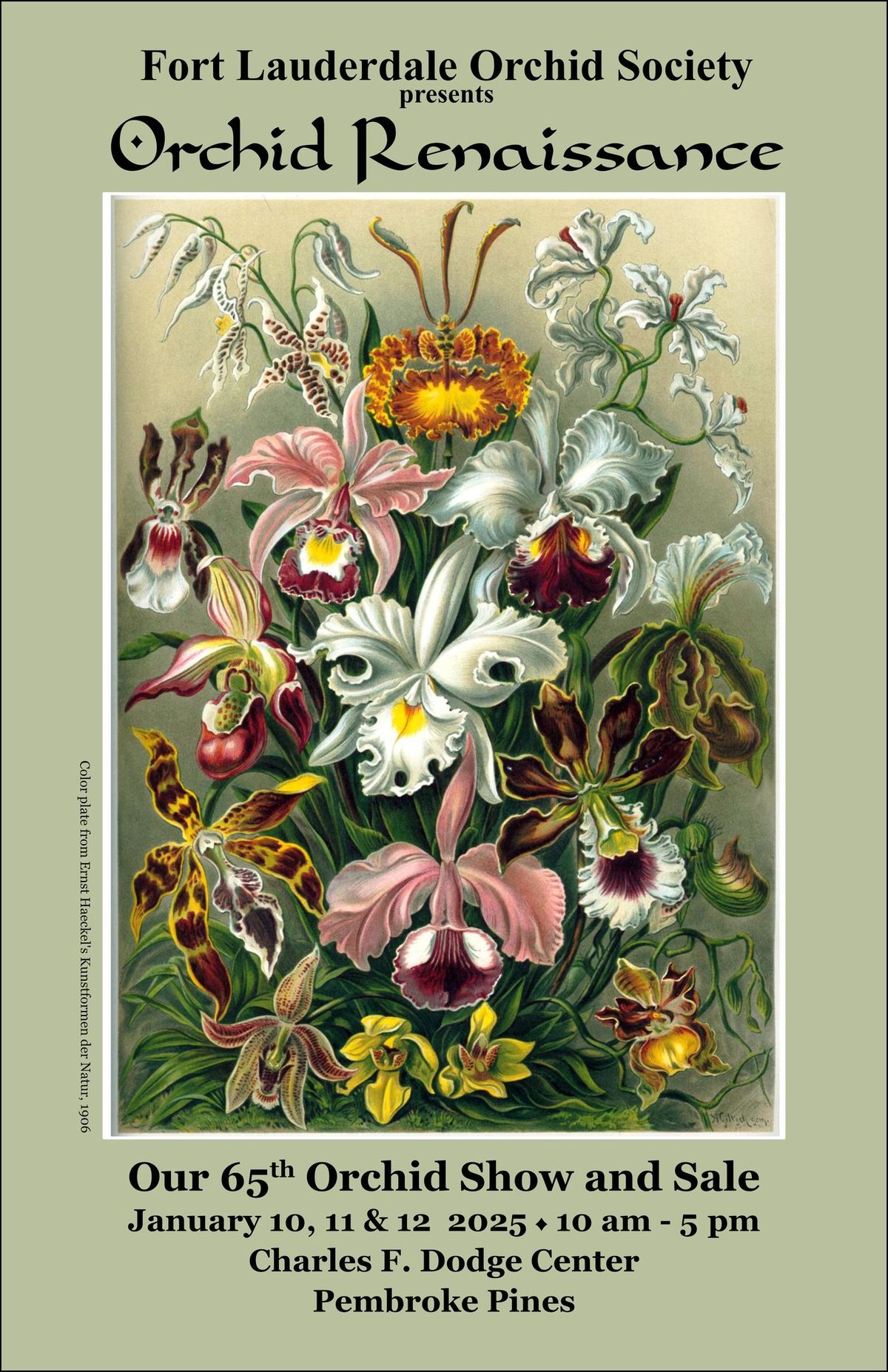 Fort Lauderdale Orchid Society Presents - Orchid Renaissance - 65th Orchid Show and Sale