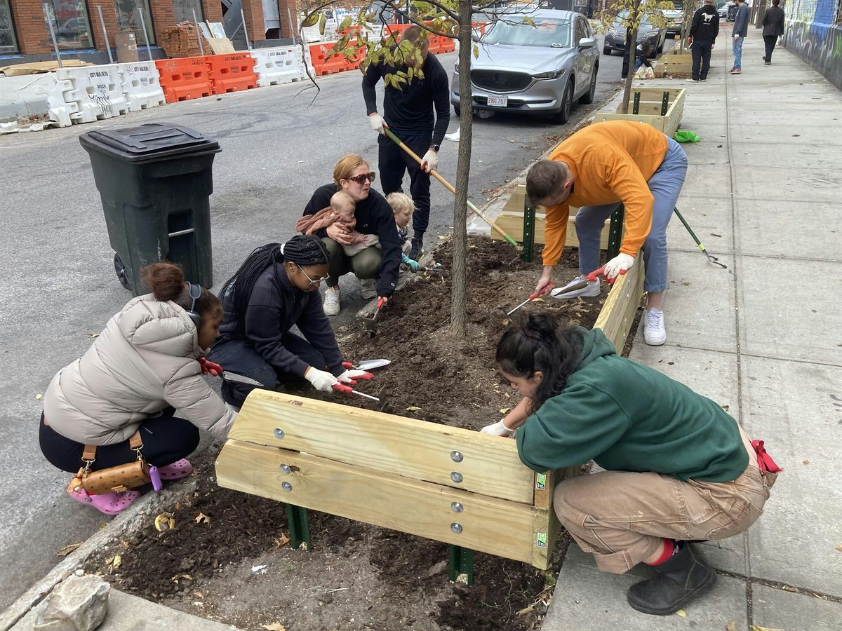 Street Tree Care  w\/ Sunnyside Shines BID