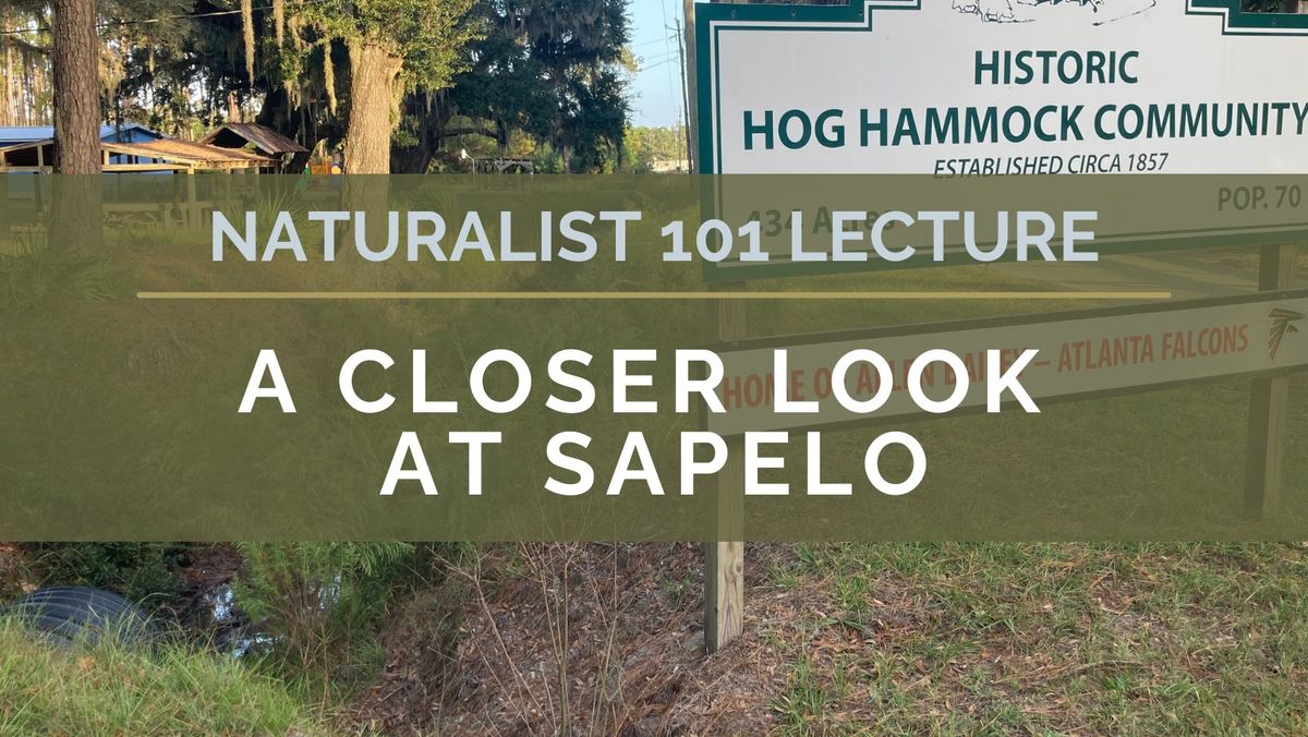 A Closer Look at Sapelo (Naturalist 101 Lecture)