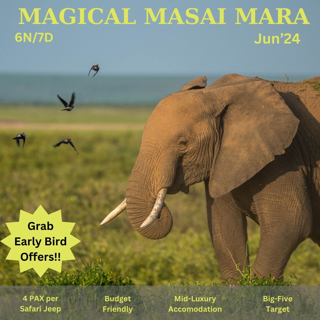 Masai Mara - Photography Tour