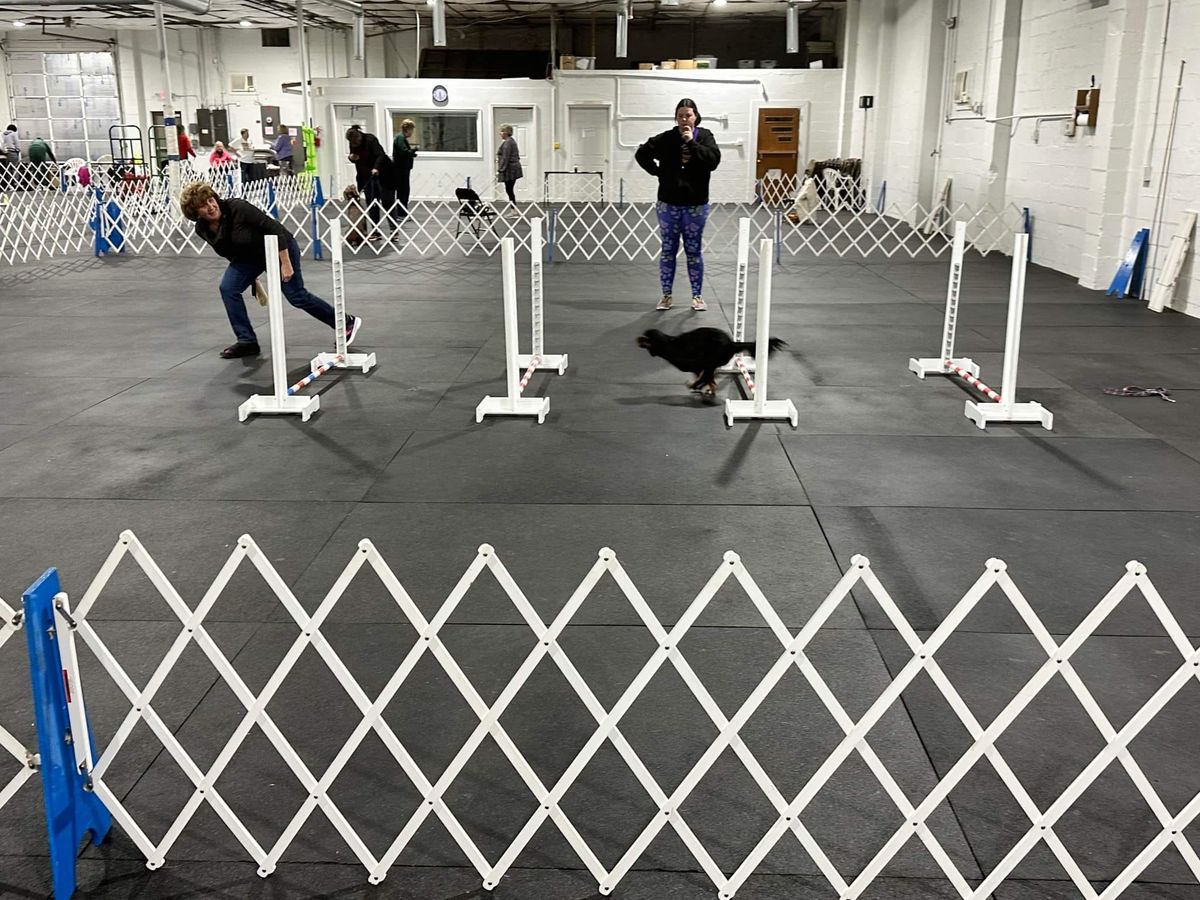 Merrimac AKC Agility Course Test (ACT)