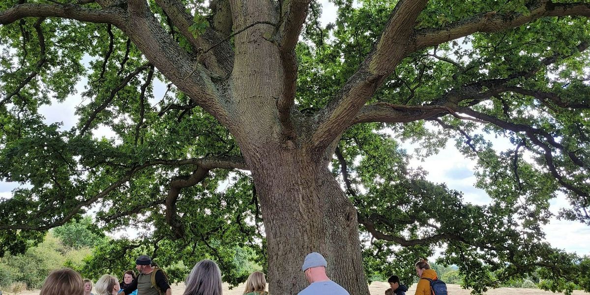 Terrific Trees of Stoke Park