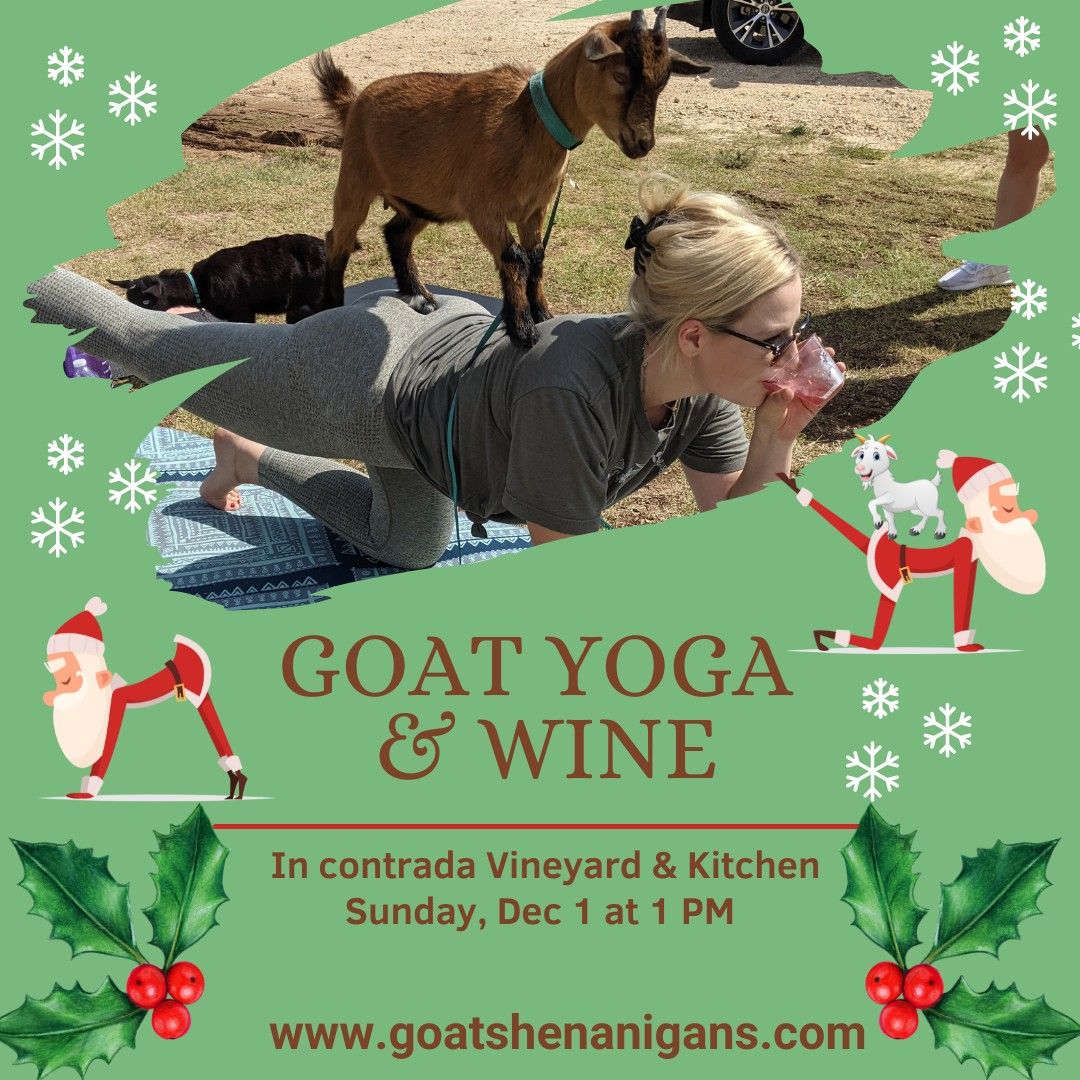 Goat Yoga and Mimosas at In Contrada Vineyard in San Antonio