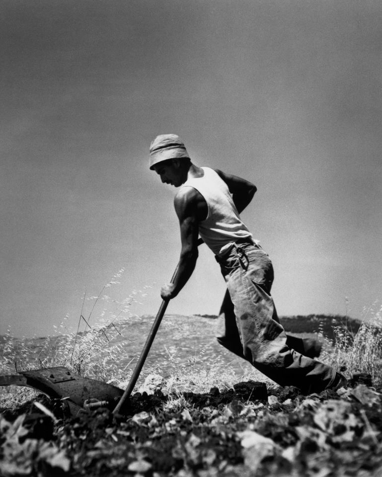 Robert Capa: Photographing the Nakba, erasing Palestine