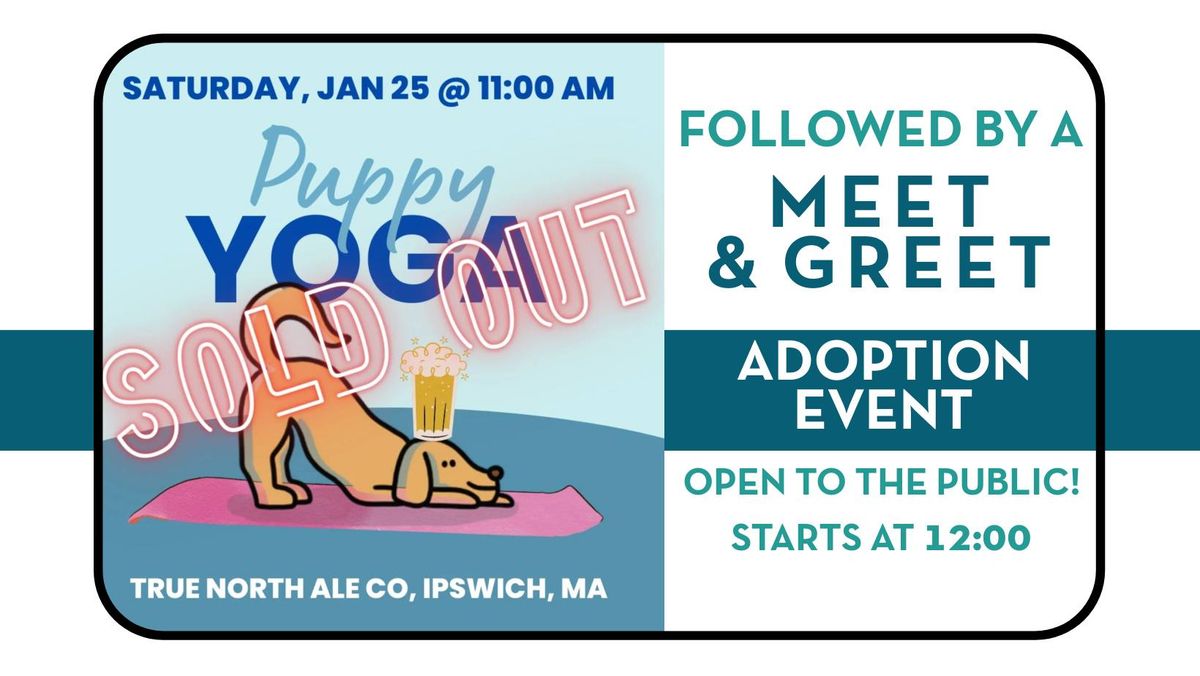 Puppy Yoga & Adoption Event @ True North Ale Ipswich